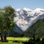 Gran Paradiso