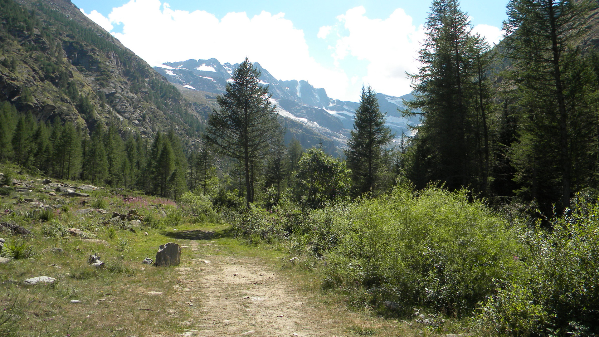 Gran Paradiso