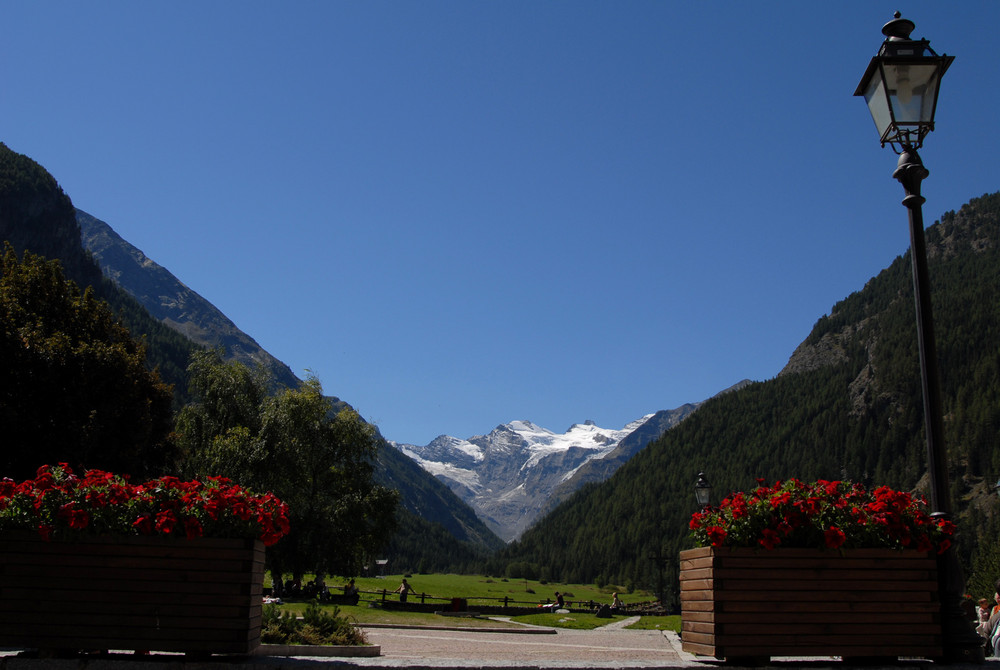 Gran Paradiso: ghiacciai tra i fiori