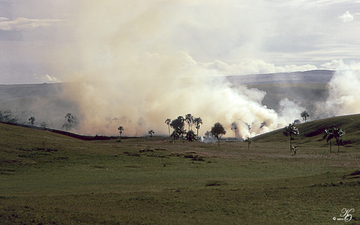 Gran Sabana im Süden von Venezuela