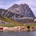 Gran Sasso 