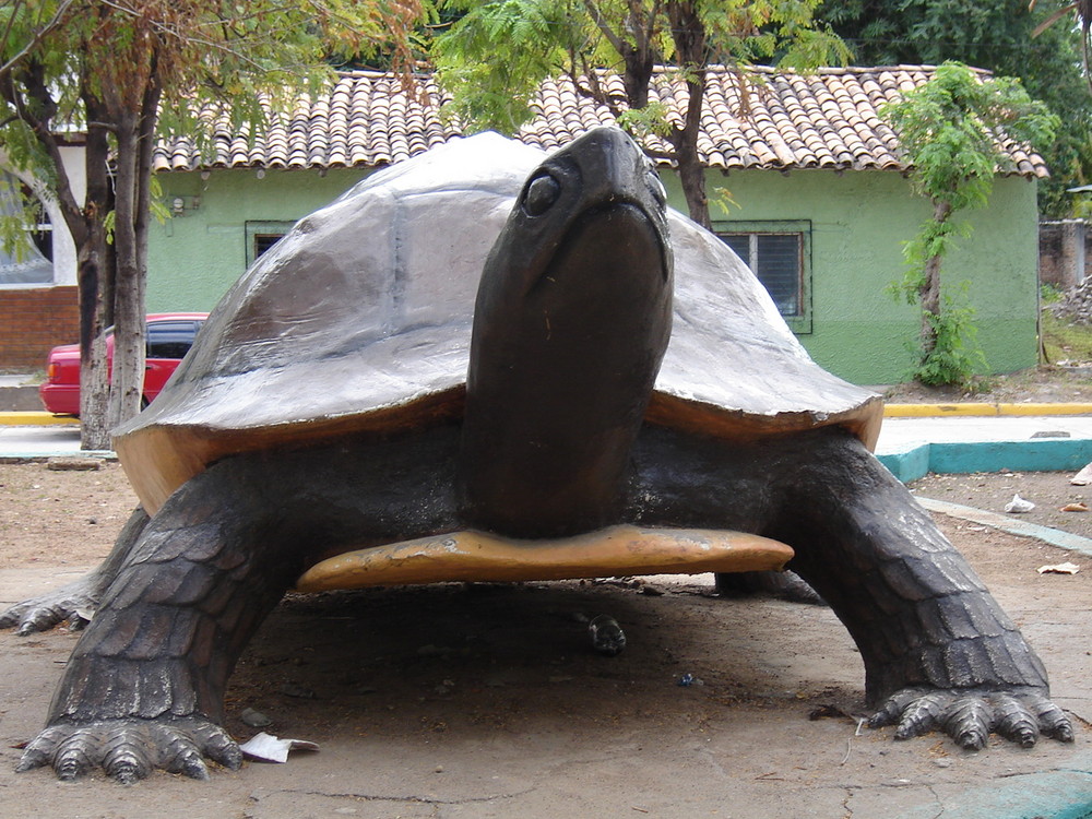 Gran Tortuga San Lorenzo, Valle