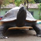 Gran Tortuga San Lorenzo, Valle