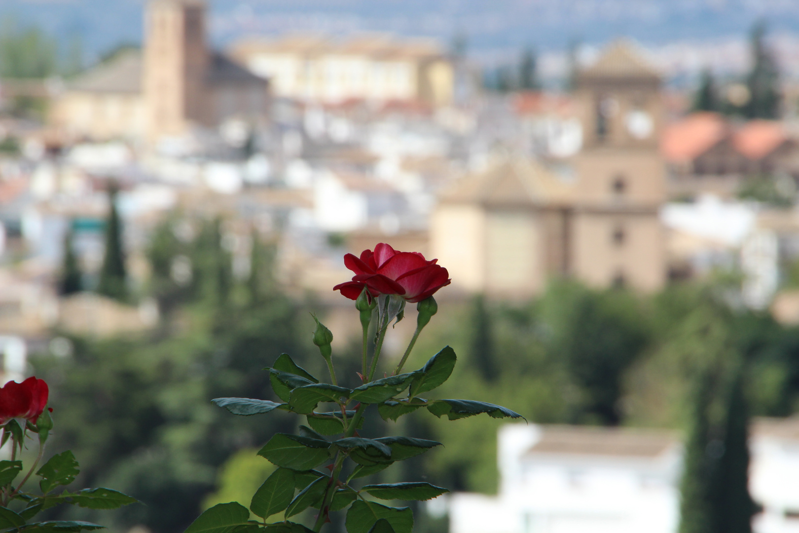 Granada