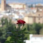 Granada