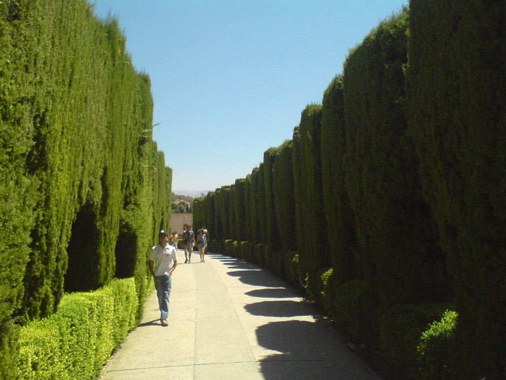 Granada - Alhambra Allee