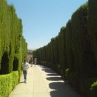 Granada - Alhambra Allee