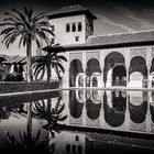 Granada - Alhambra / Torre de las Damas