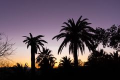 Granada am Abend