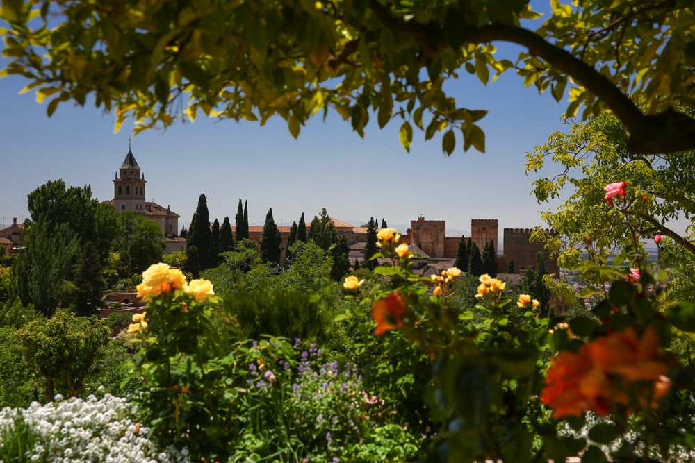 Granada Blick vom Generalife zur Alhambra 2