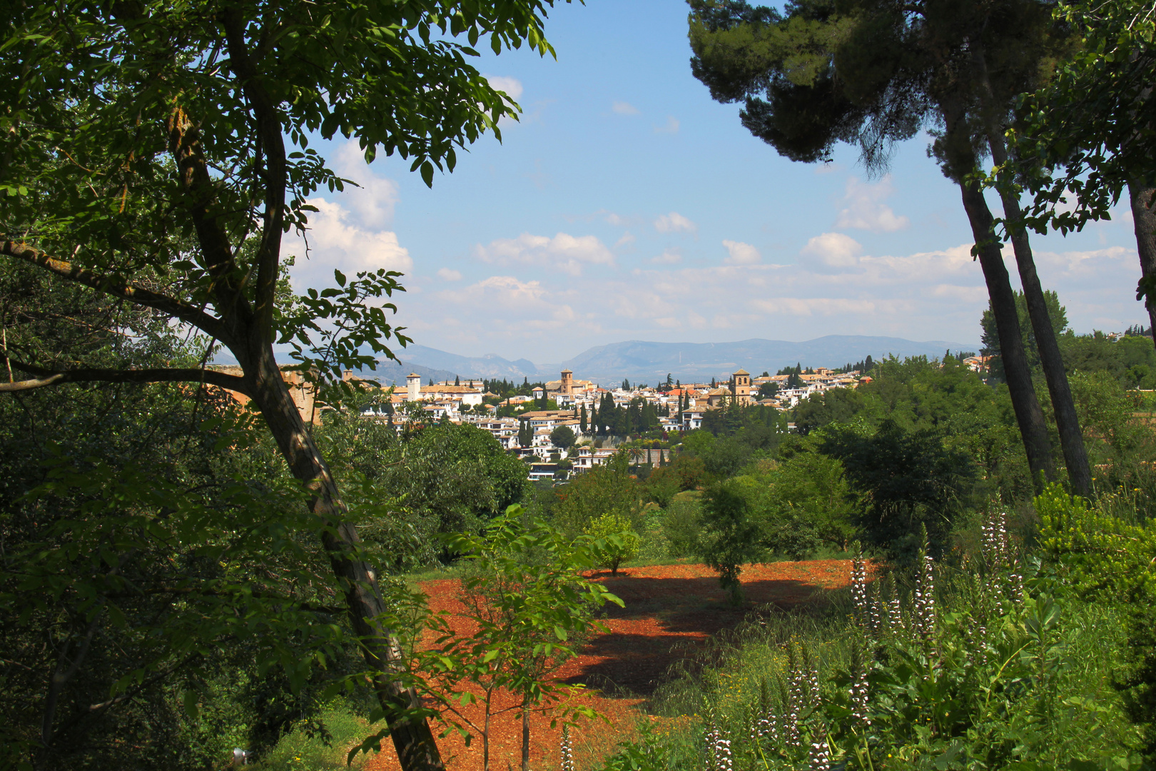 Granada