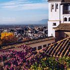 Granada - Generalife