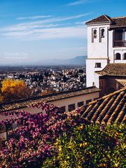 Granada - Generalife