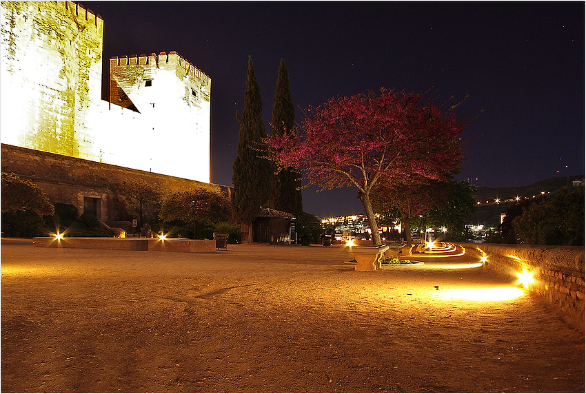 Granada's night