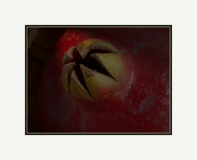 Granadeäpfel 