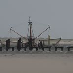 Granat aus dem Wattenmeer (2)