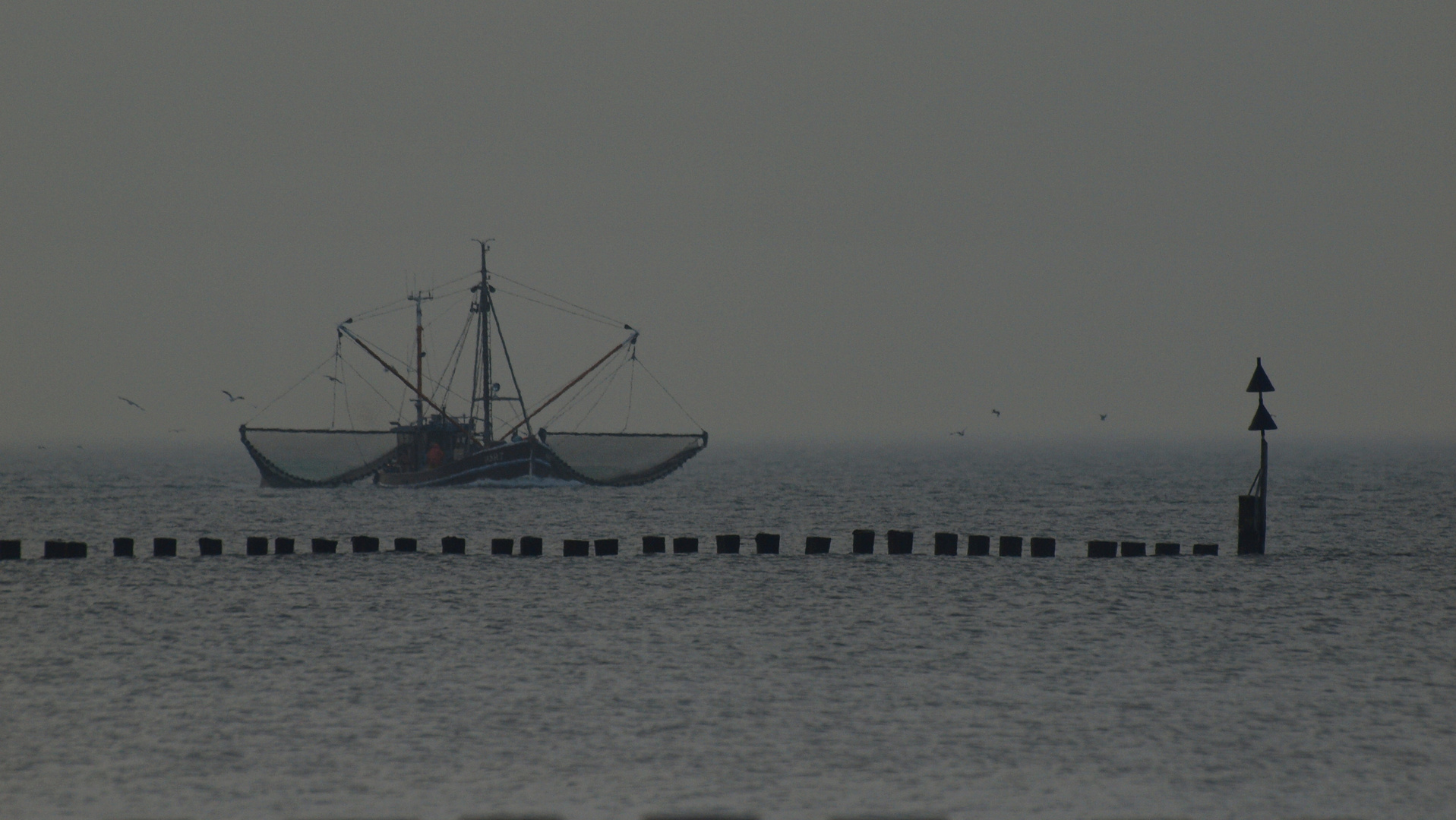 Granat aus dem Wattenmeer