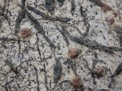 Granat-Hornblende-Glimmerschiefer aus den Zillertaler Alpen