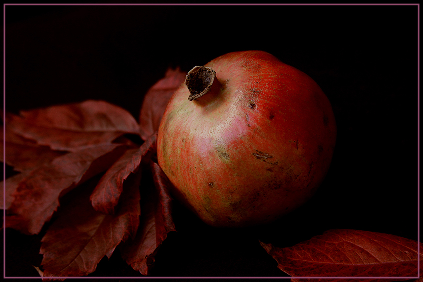  Granatäpfel 