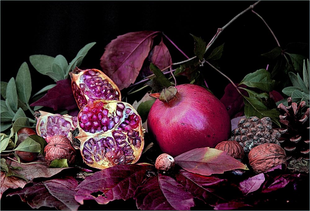 Granatapfel Foto & Bild stillleben , fotos, natur Bilder auf