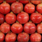Granatapfel - Pomegranate