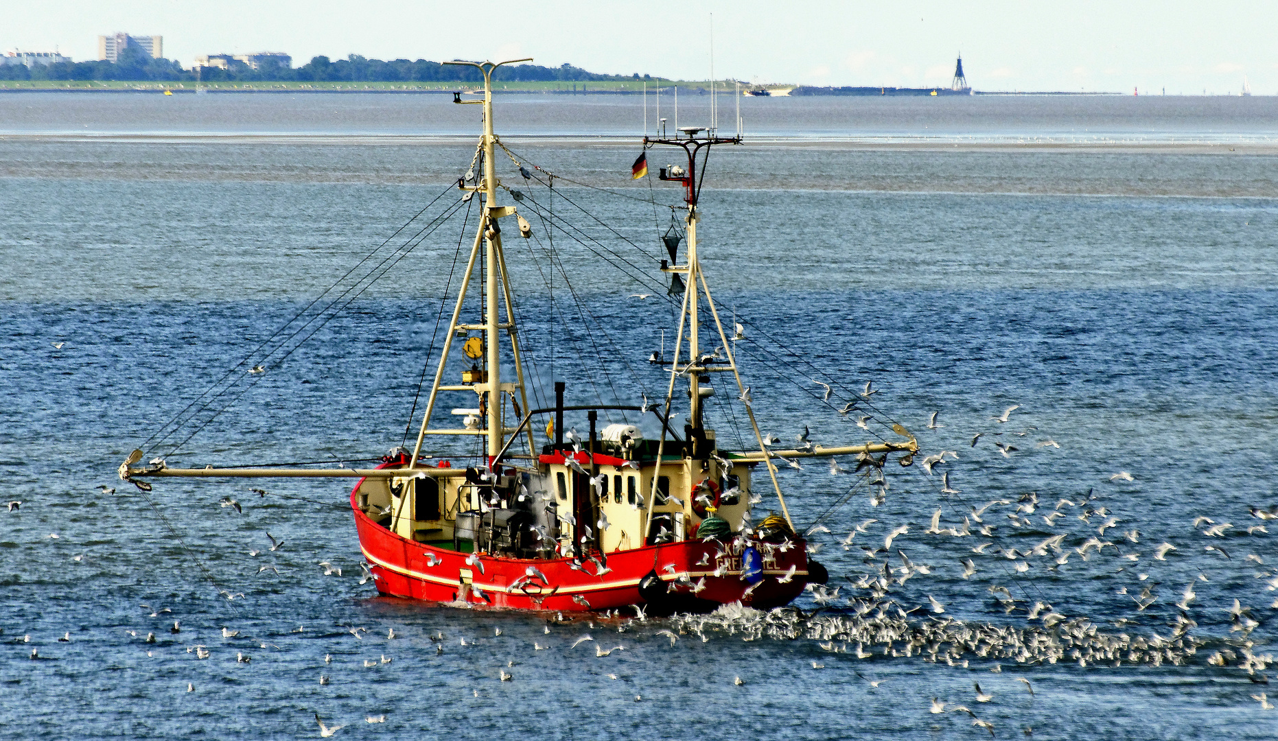 Granatfischer vor Cuxhaven