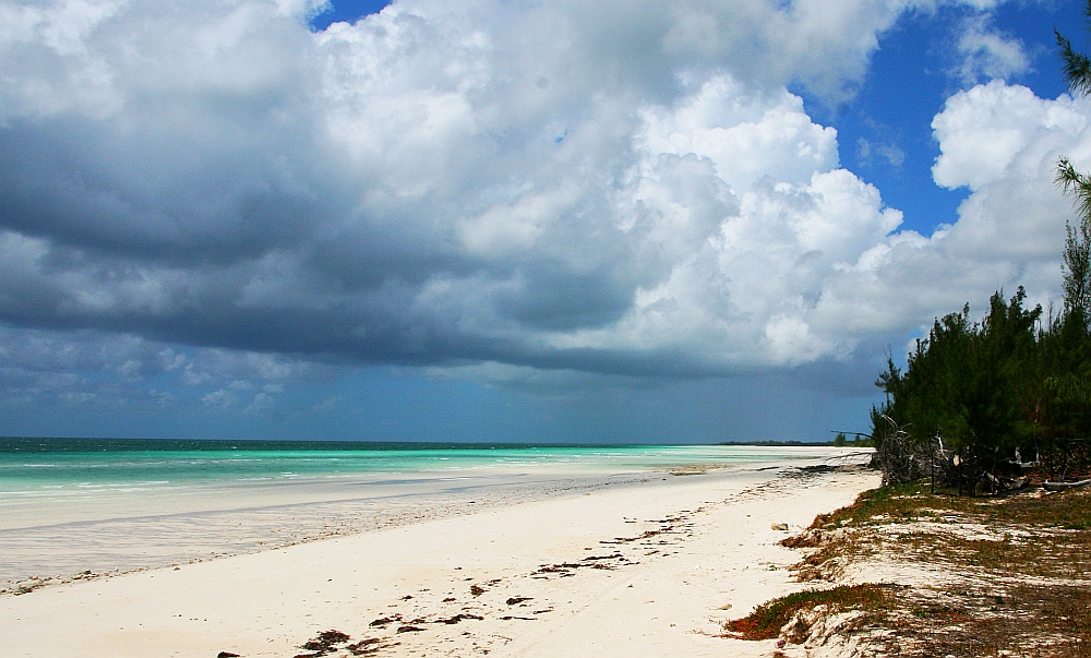 Grand Bahama Pelikan Point