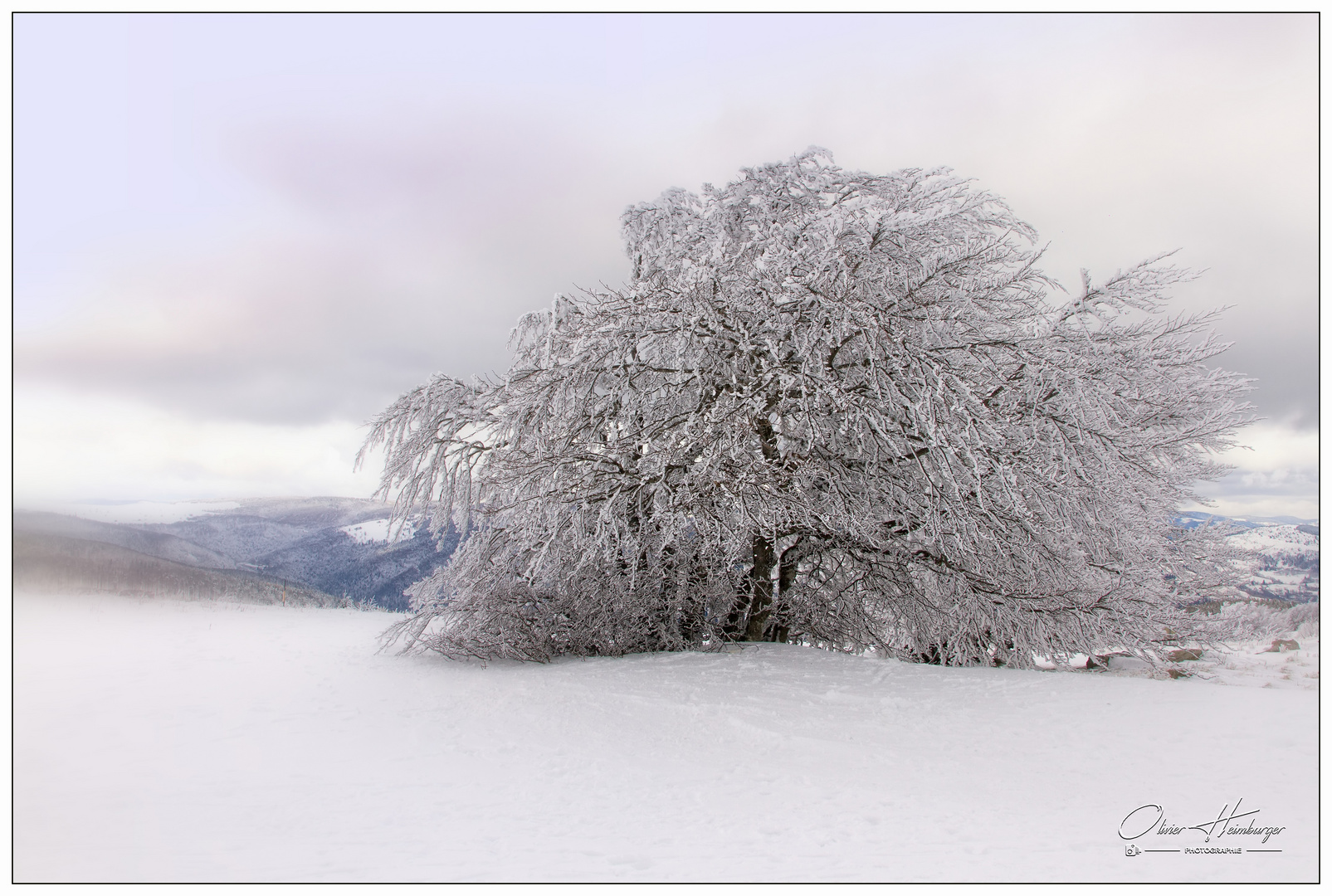 Grand Ballon d'alsace