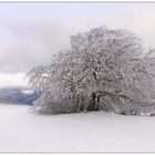 Grand Ballon d'alsace