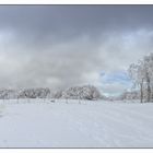 Grand Ballon d'alsace