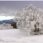 Grand Ballon d'alsace