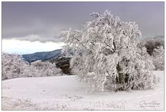 Grand Ballon d'alsace