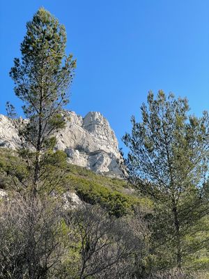 Grand beau temps dans le vallon 