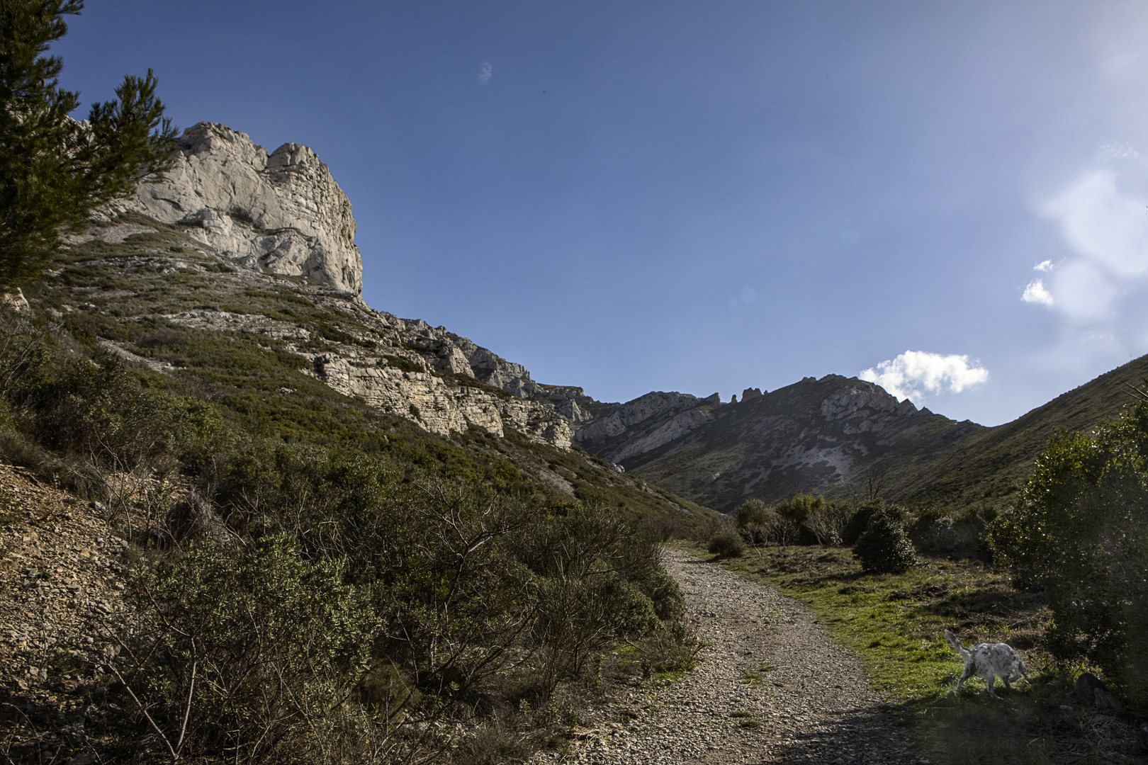 Grand beau temps en Provence