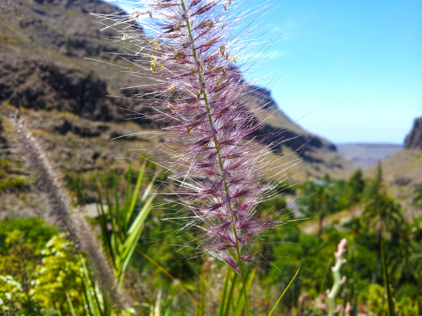 Grand Canaria Palmitos Park