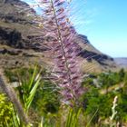 Grand Canaria Palmitos Park