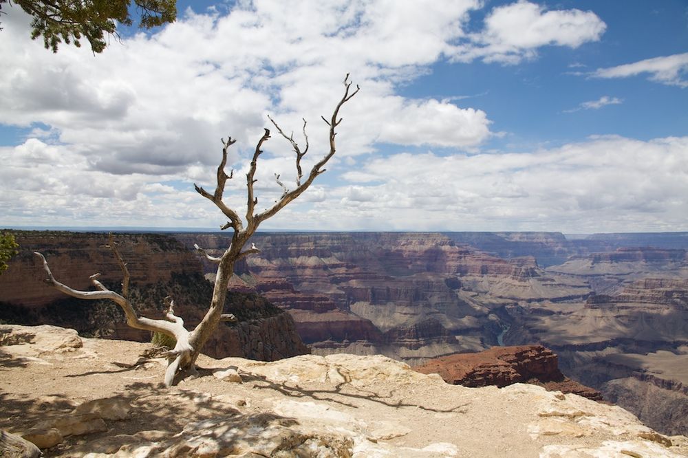 Grand Canyon