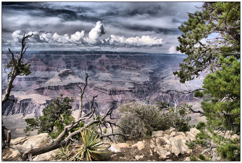 Grand Canyon