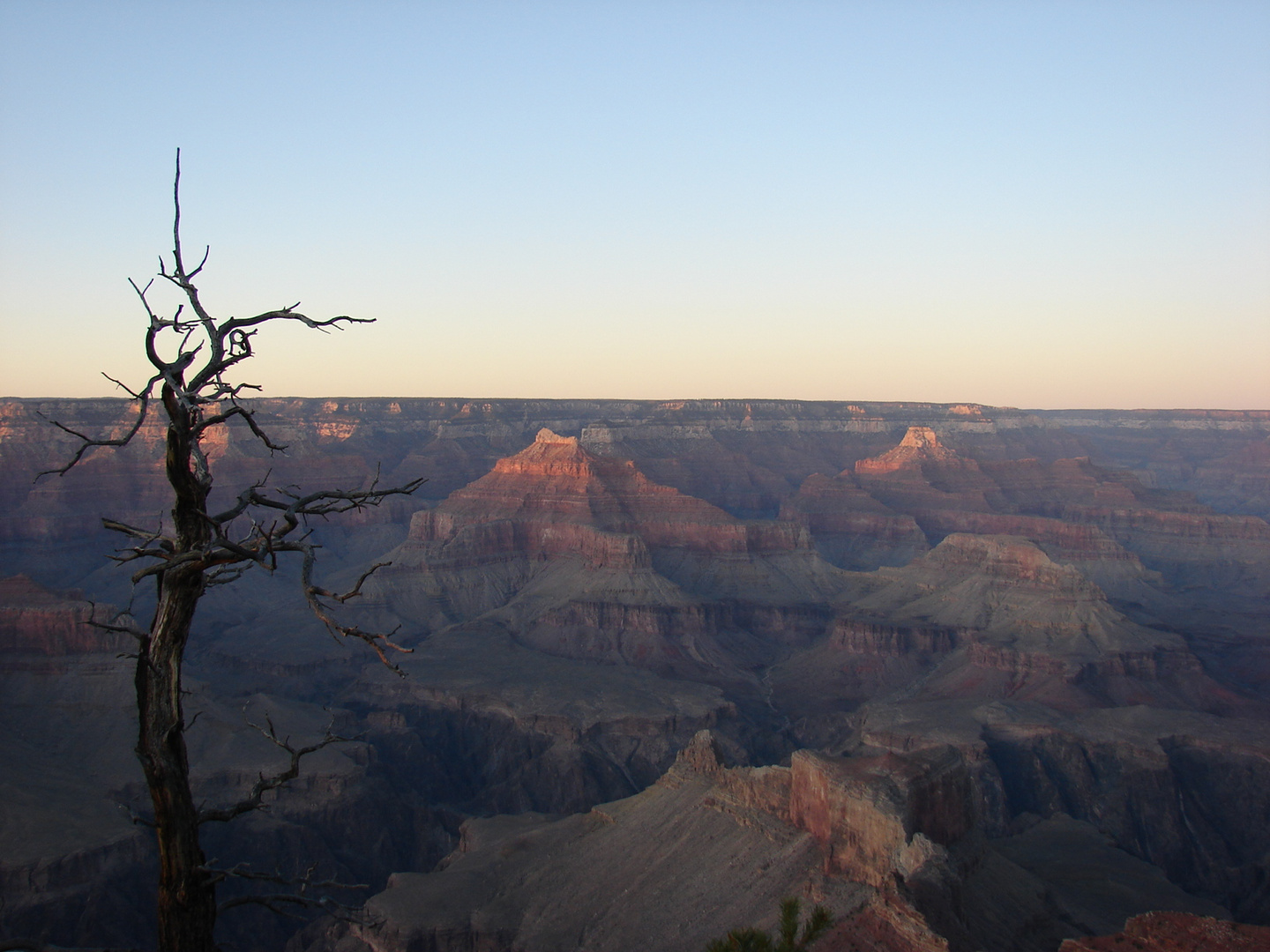 Grand Canyon