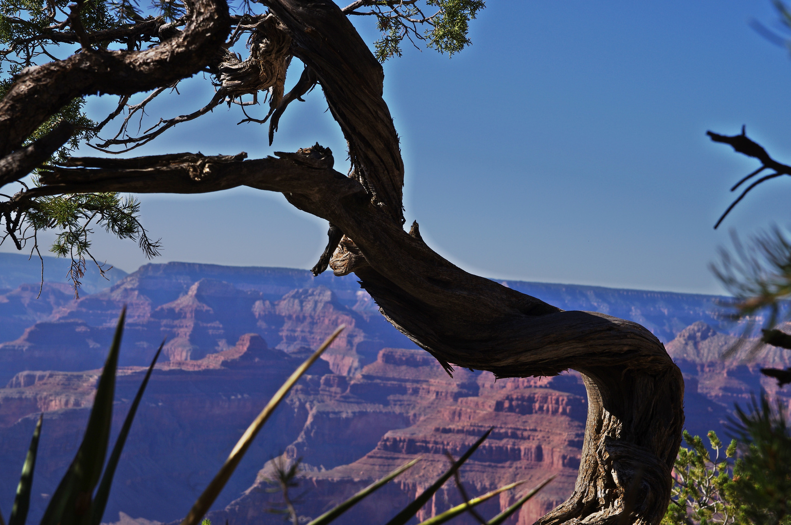 Grand Canyon