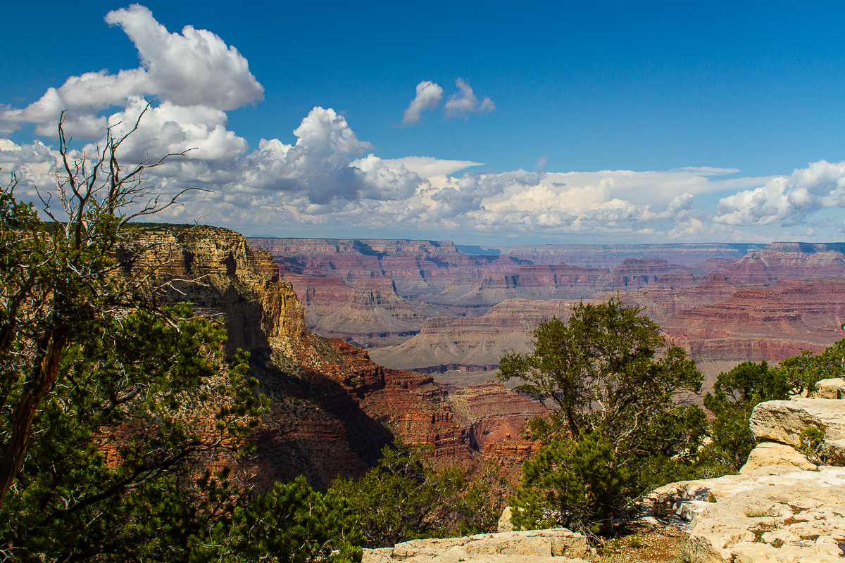 Grand Canyon (1)