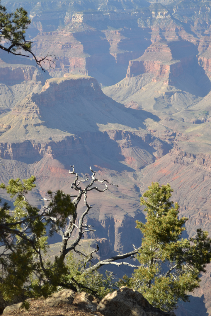 Grand Canyon 1