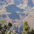 Grand Canyon 1