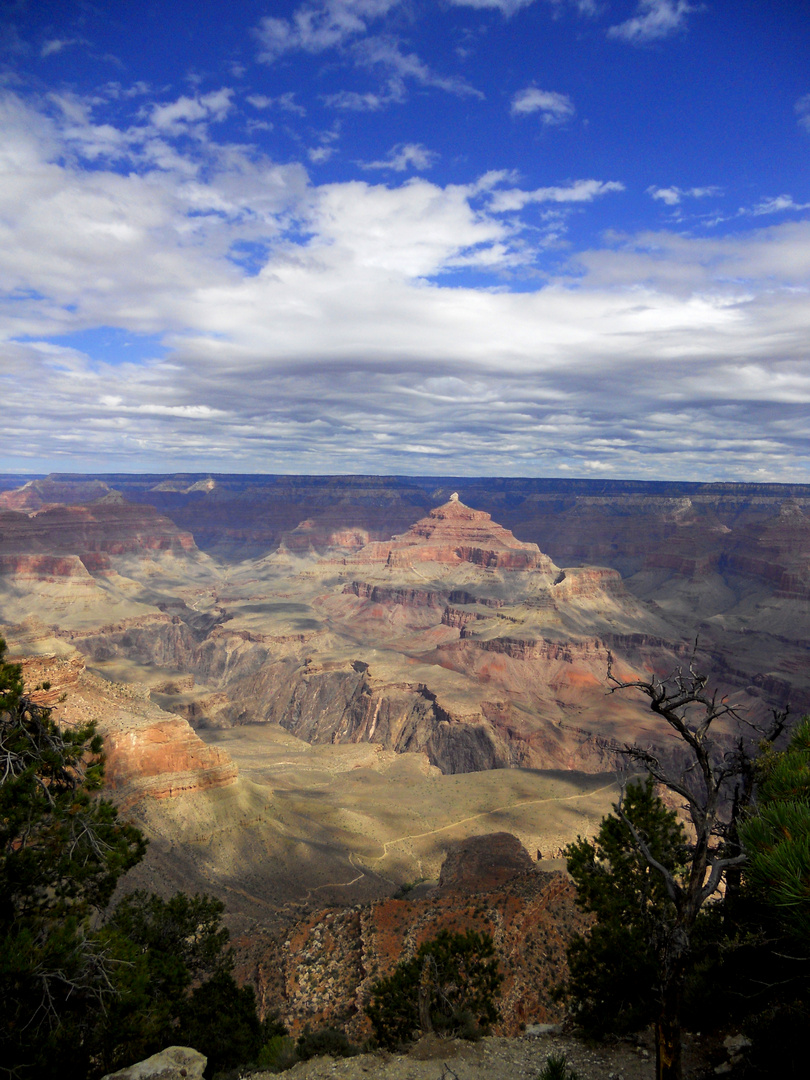 Grand Canyon #1