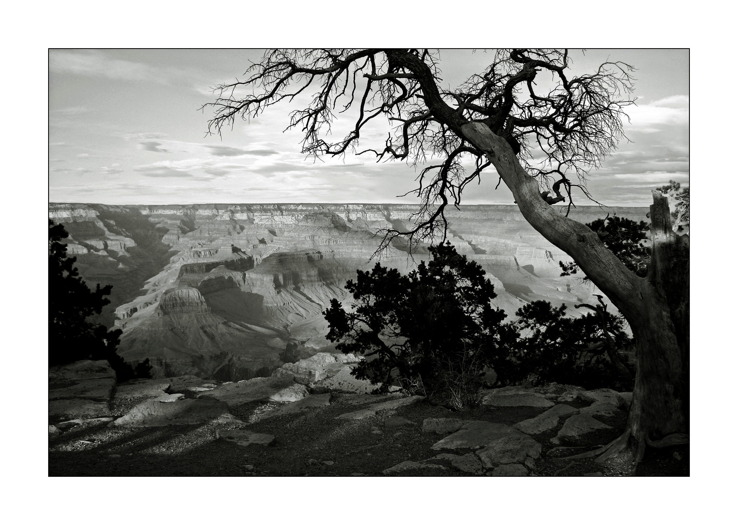 Grand Canyon # 1