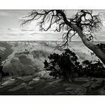 Grand Canyon # 1