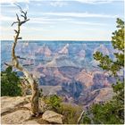 Grand Canyon  1