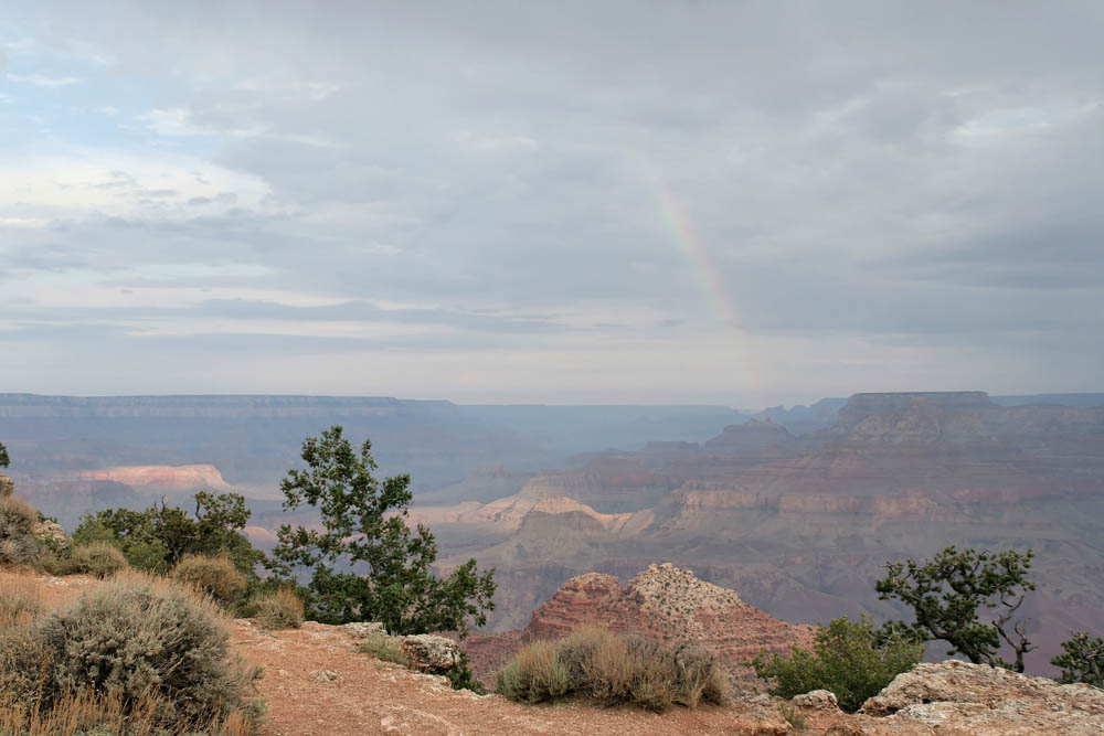 Grand Canyon (1)