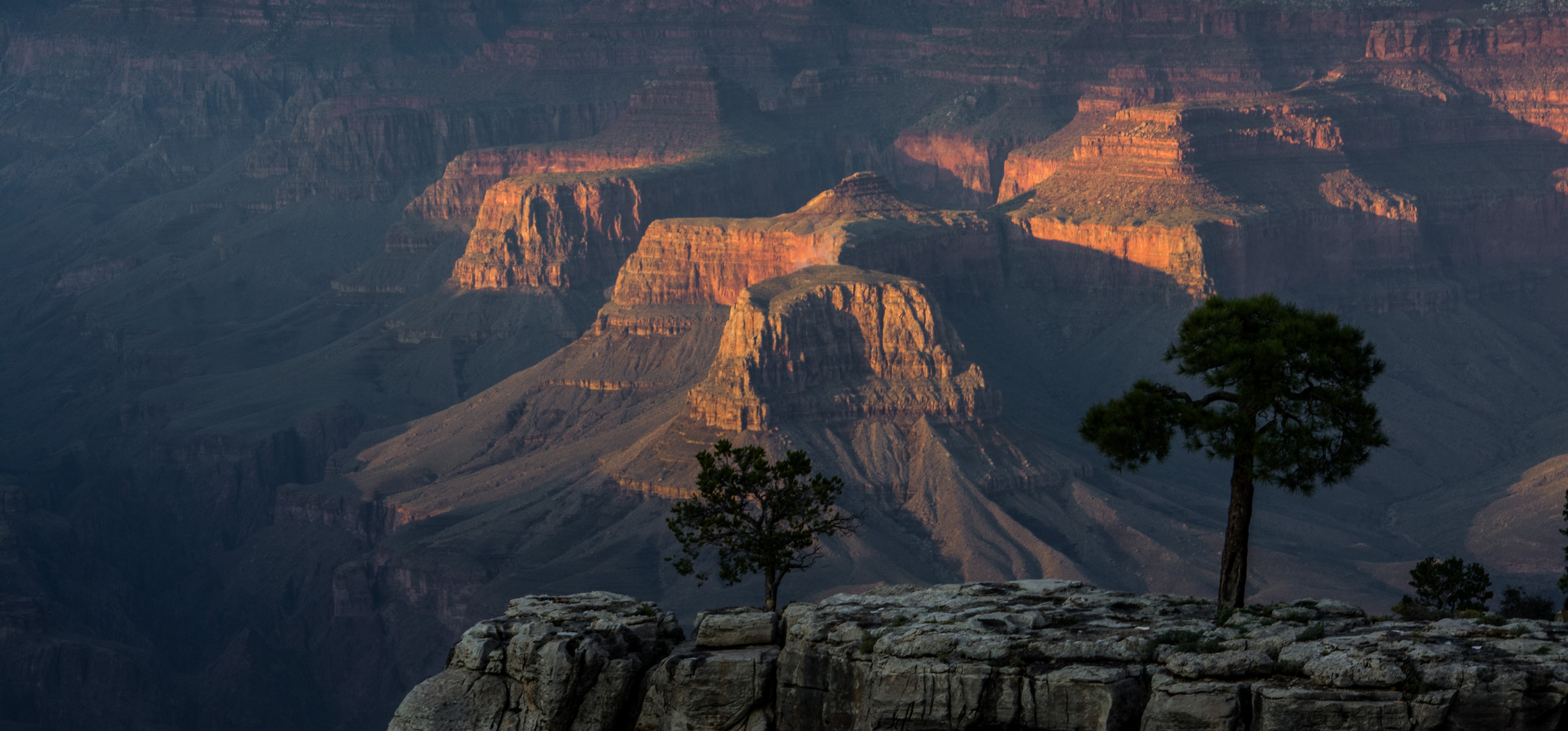 Grand Canyon 1