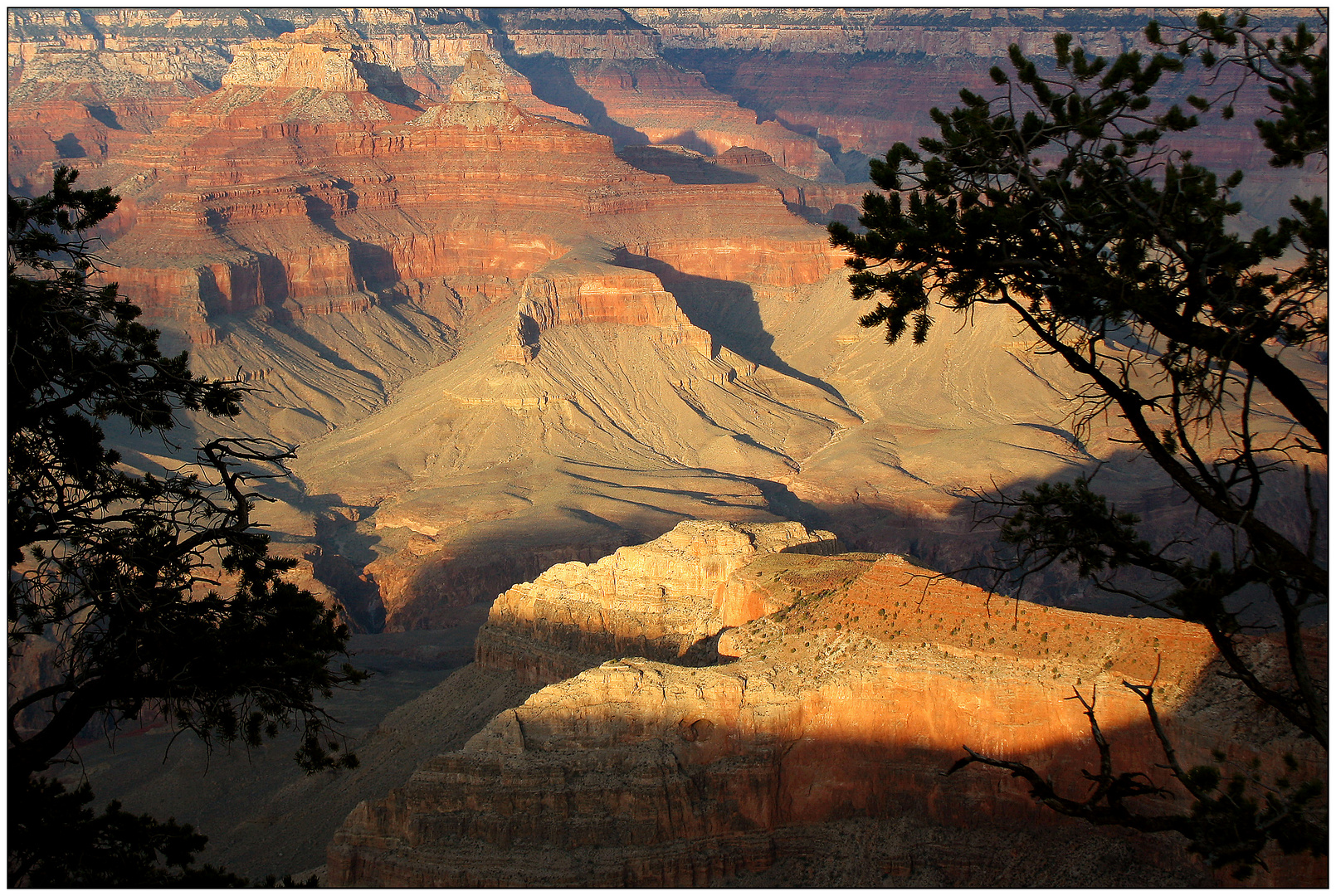 Grand Canyon # 11